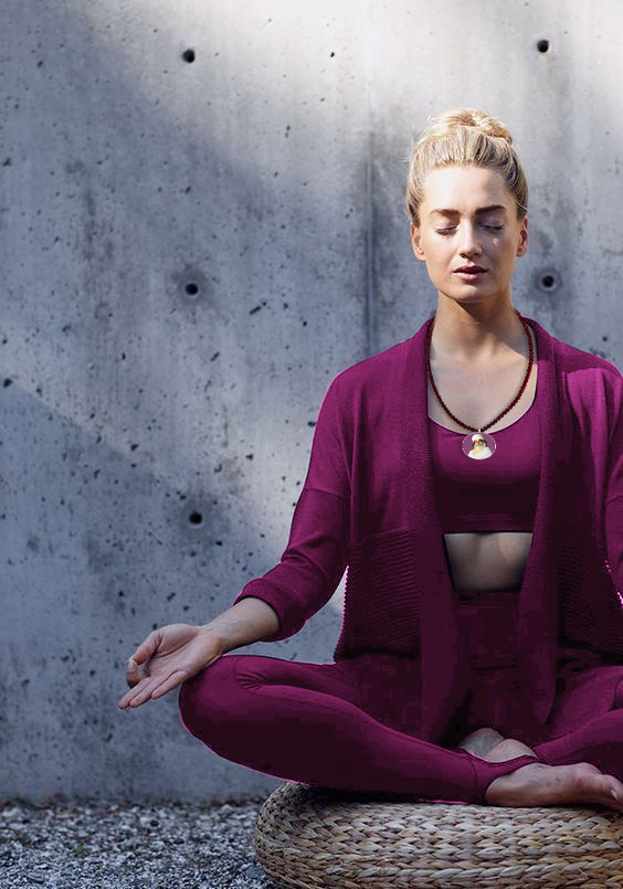 1 Day Program – Inner Stillness Day Rs 4000